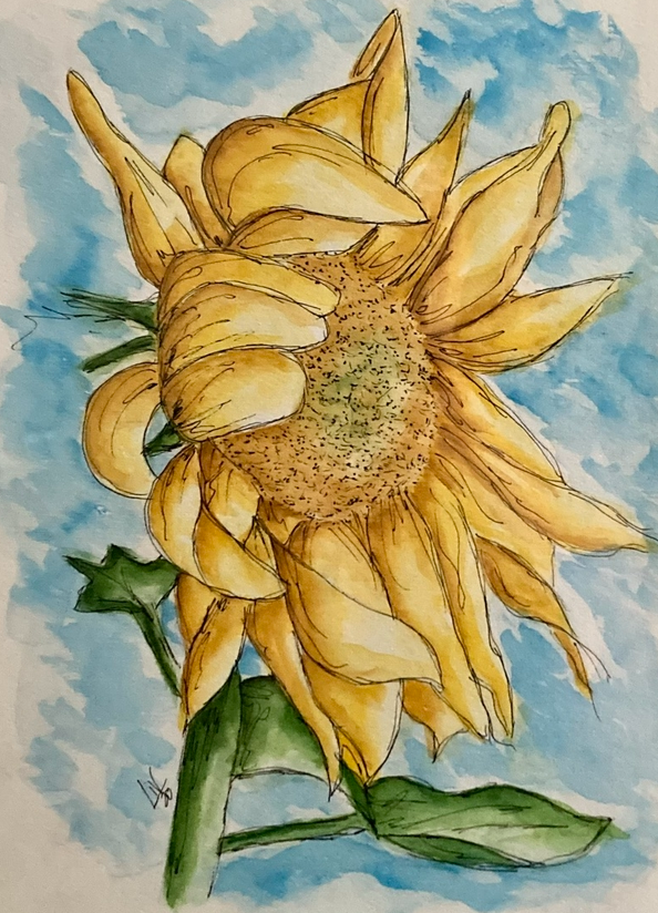 My Second Bloom